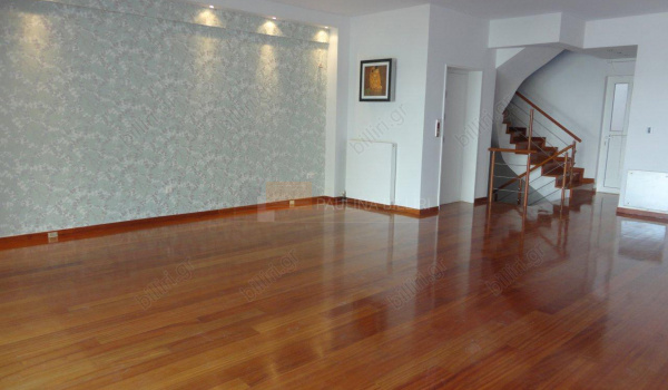 Εσωτερική όψη  - Indoor view